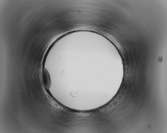 X0000098020996200804251133