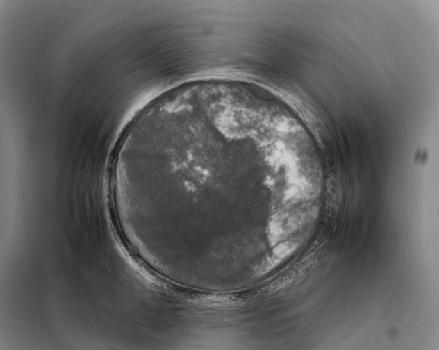 X0000098020998200804251133