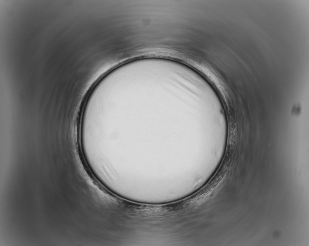 X0000098020999200804251133