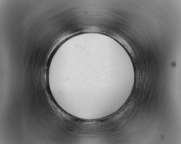 X0000098021000200804251133