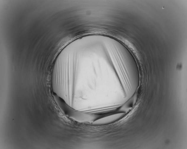 X0000098021001200804251133