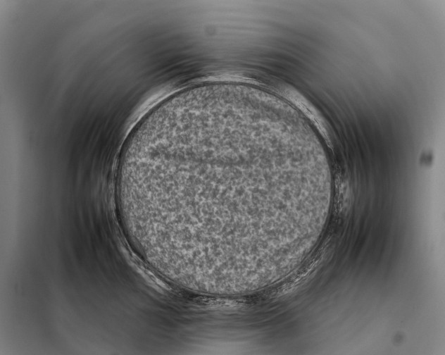 X0000098021002200804251133