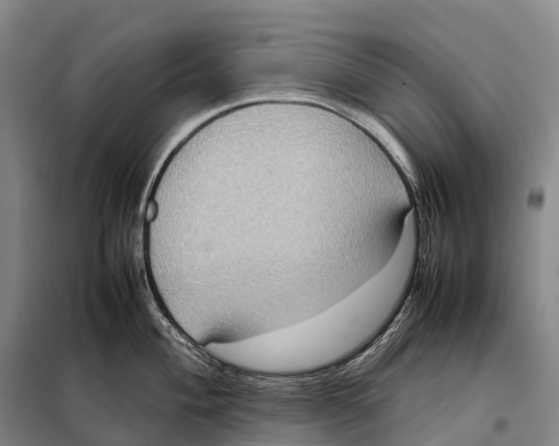 X0000098021004200804251133