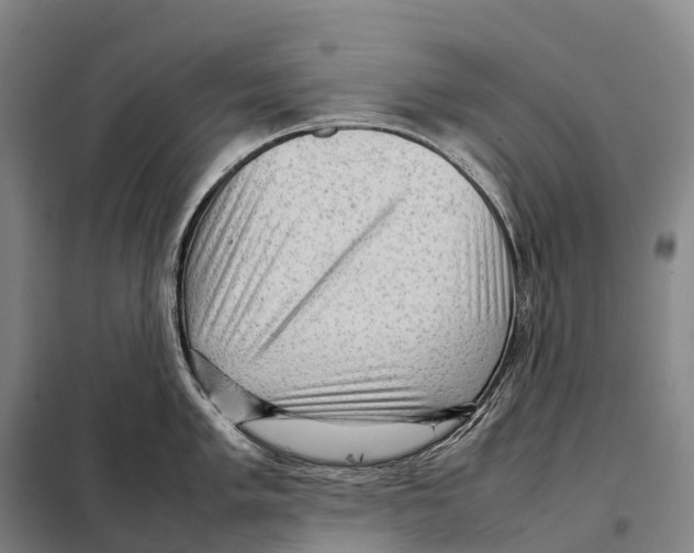 X0000098021005200804251133