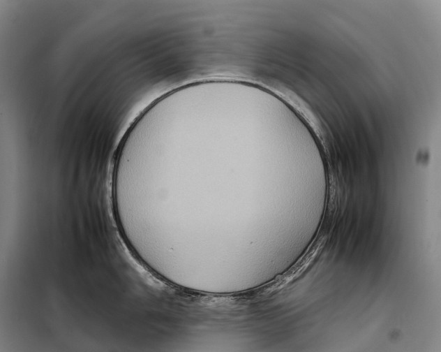X0000098021006200804251133