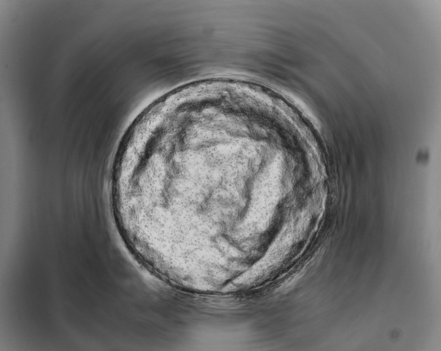 X0000098021007200804251133