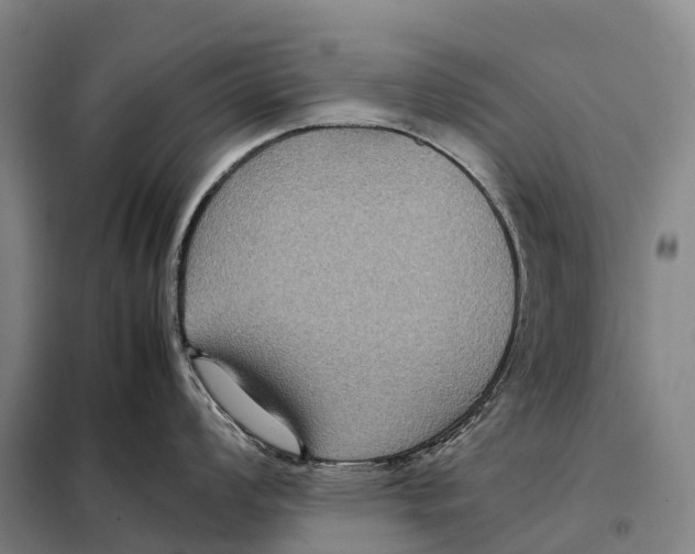 X0000098021008200804251133