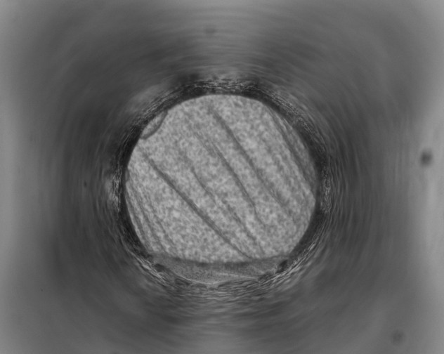 X0000098021010200804251132