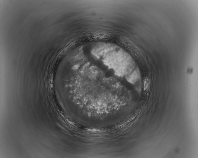 X0000098021011200804251132