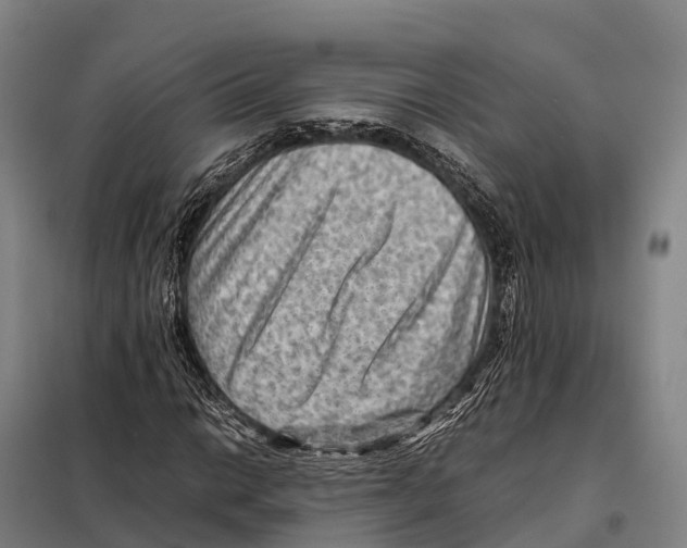 X0000098021014200804251132