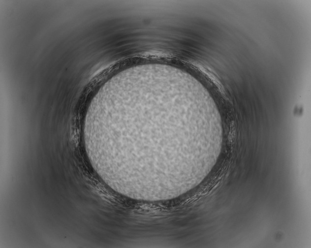 X0000098021015200804251132