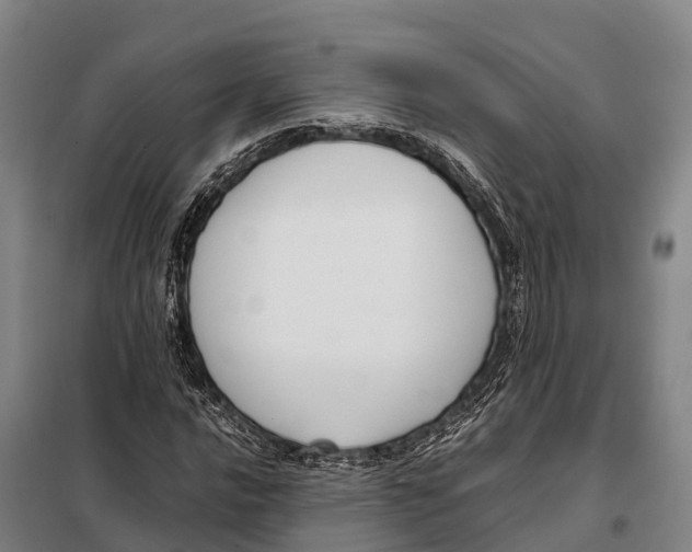 X0000098021016200804251132