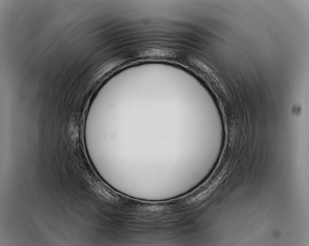X0000098021017200804251132
