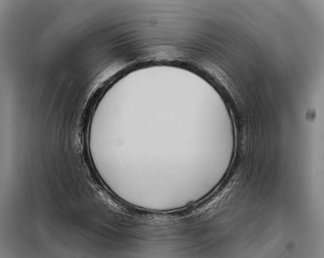 X0000098021018200804251132