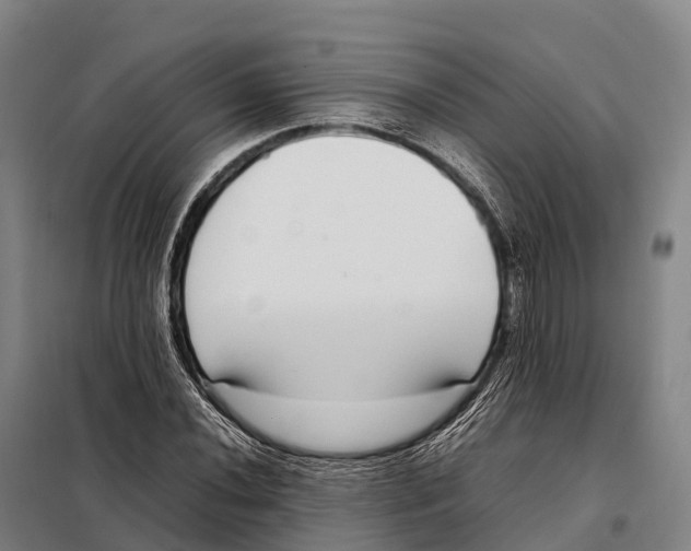 X0000098021020200804251132