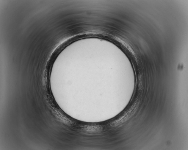 X0000098021021200804251132