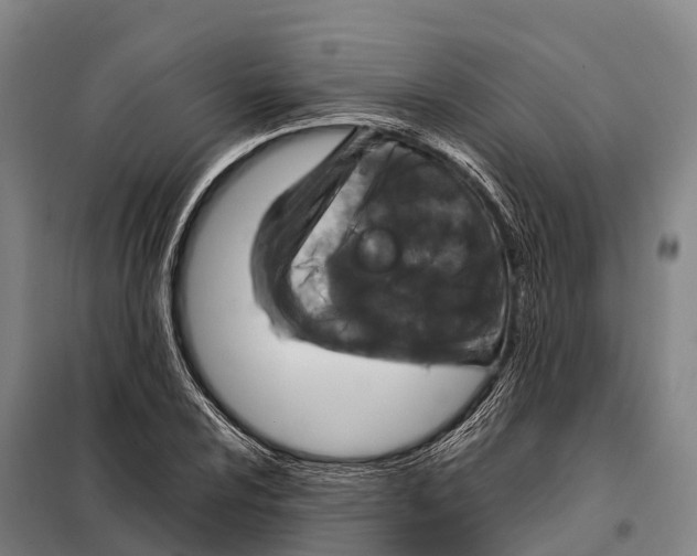 X0000098021024200804251132