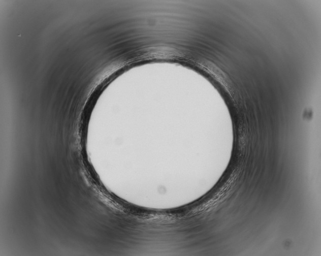 X0000098021026200804251132