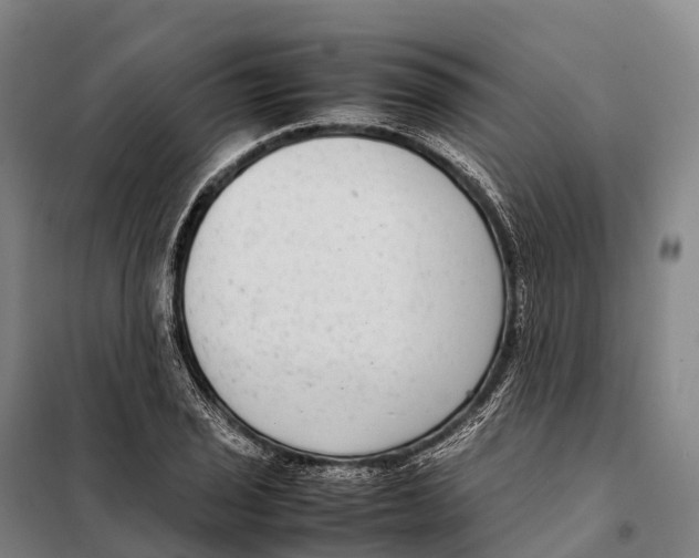 X0000098021029200804251132