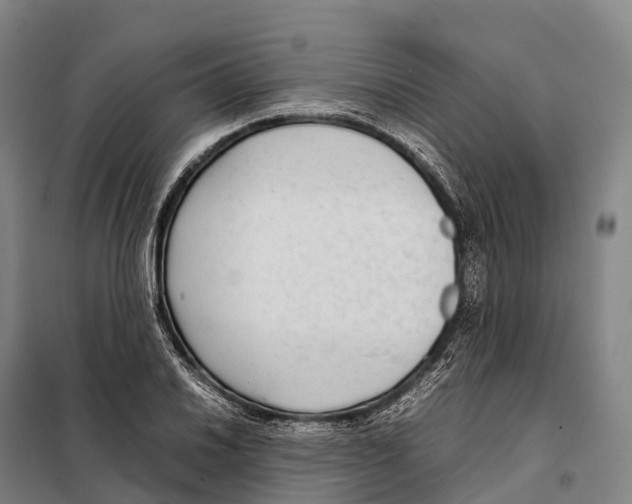 X0000098021030200804251132