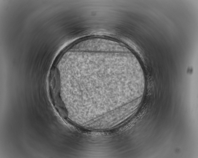 X0000098021032200804251132