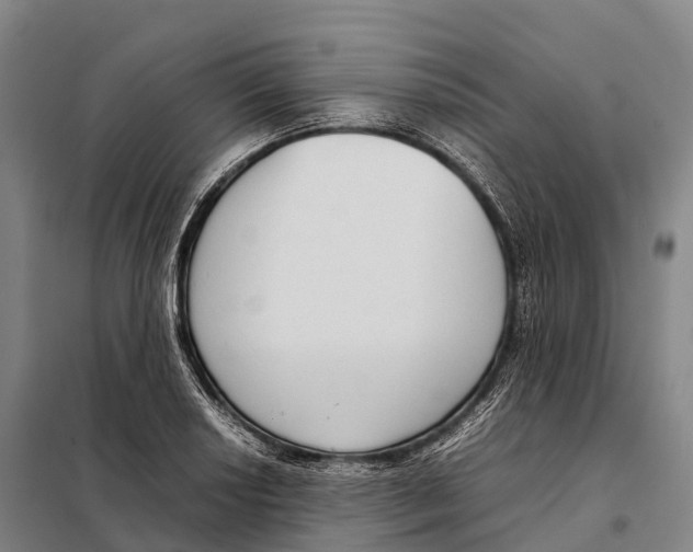 X0000098021034200804251132