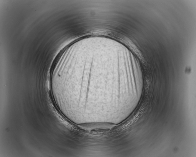 X0000098021036200804251132