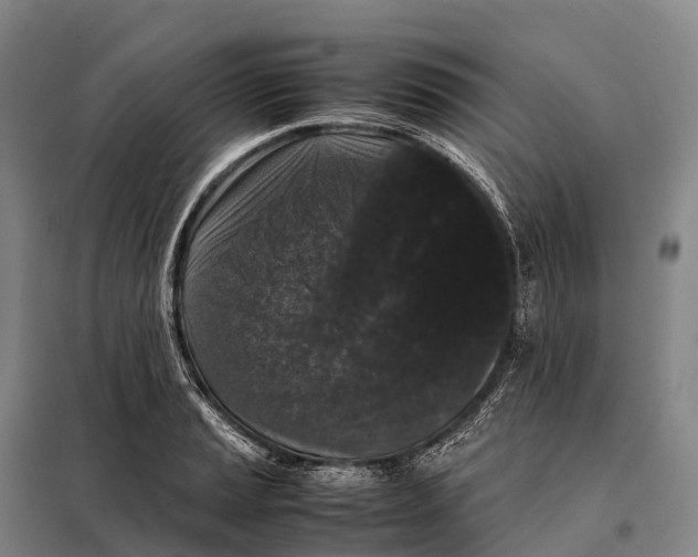 X0000098021037200804251132