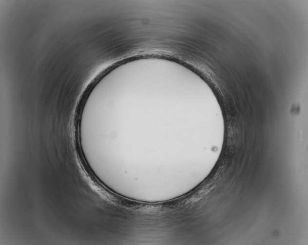 X0000098021038200804251132
