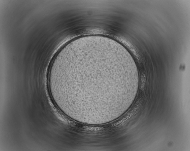 X0000098021039200804251132