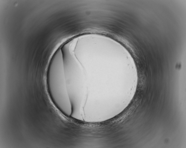 X0000098021040200804251132