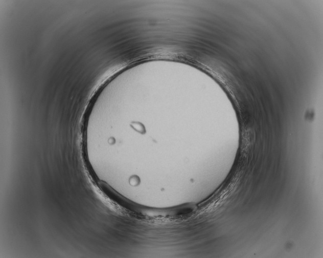 X0000098021042200804251132