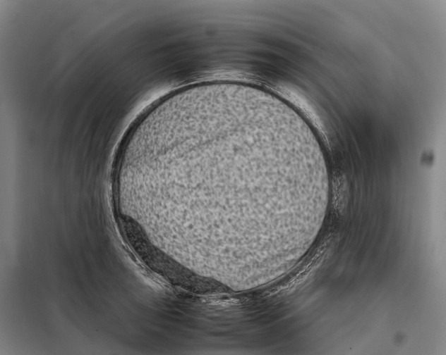 X0000098021043200804251133