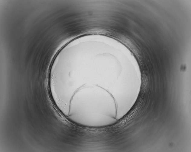 X0000098021044200804251133