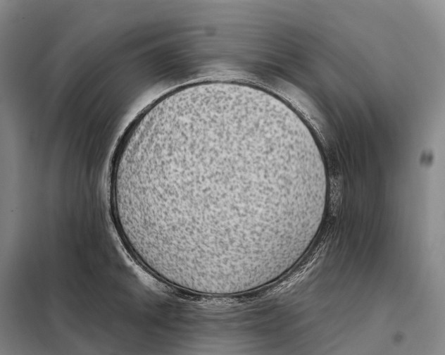 X0000098021046200804251133