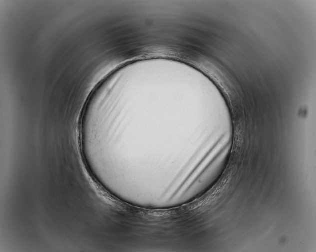 X0000098021047200804251133
