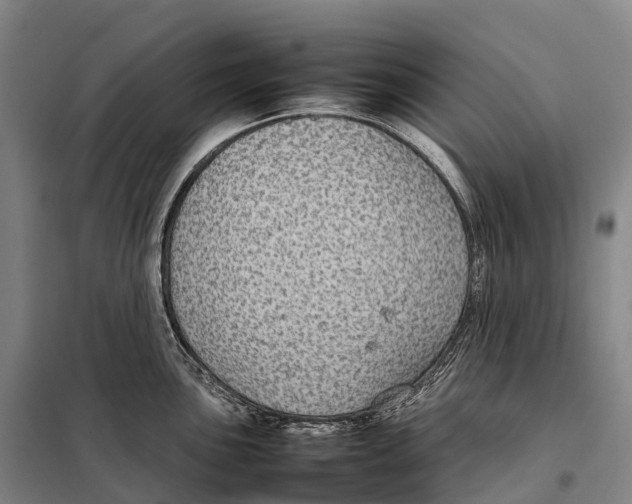 X0000098021051200804251133