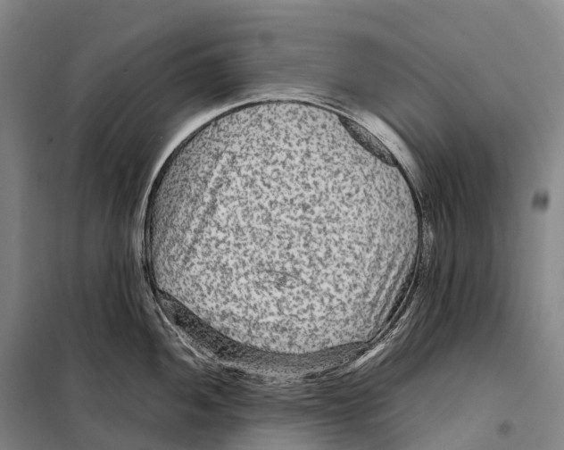 X0000098021052200804251133