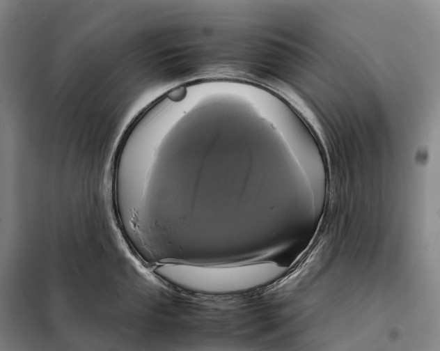X0000098021053200804251133