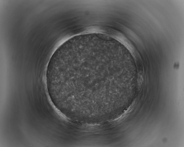 X0000098021055200804251133