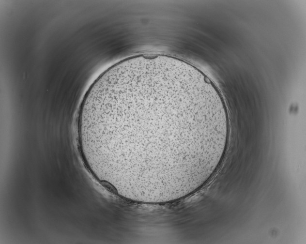 X0000098021056200804251133