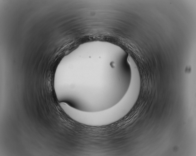 X0000098021060200804251132