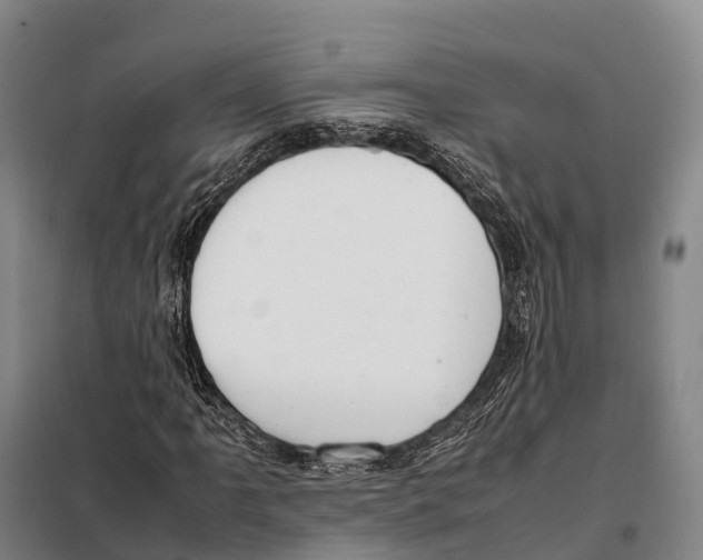 X0000098021061200804251132