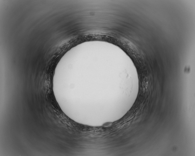 X0000098021062200804251132