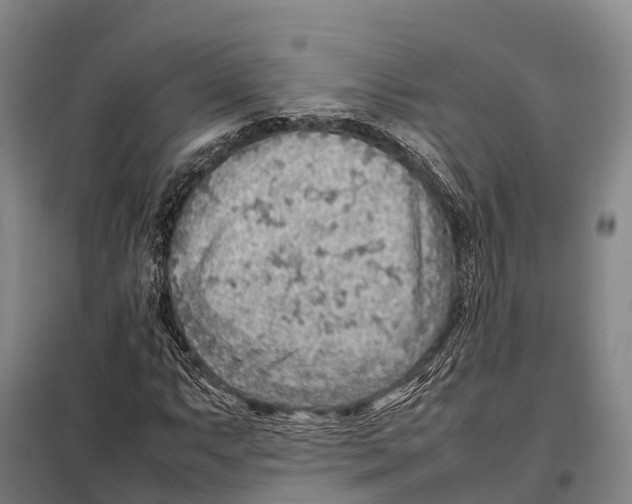 X0000098021063200804251132
