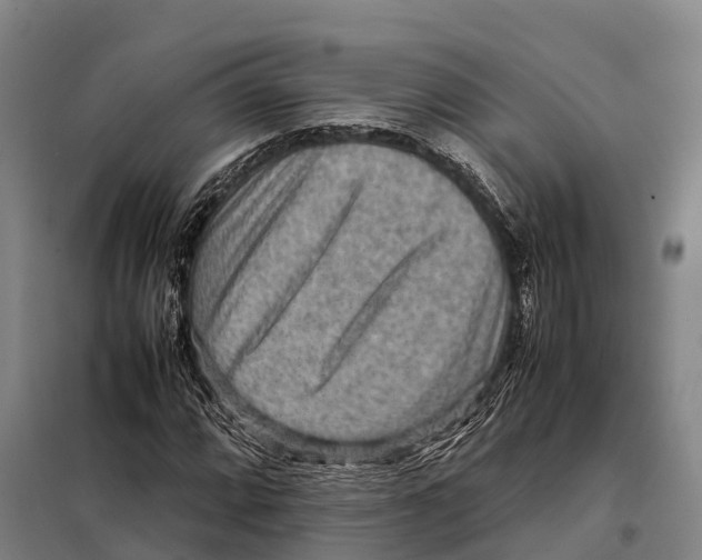 X0000098021064200804251132