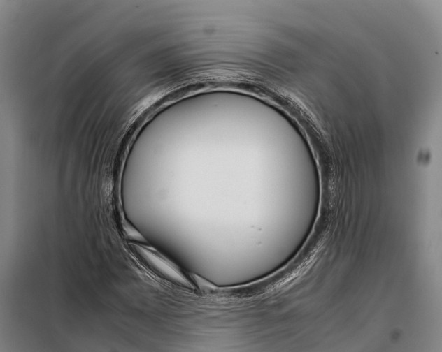 X0000098021065200804251132