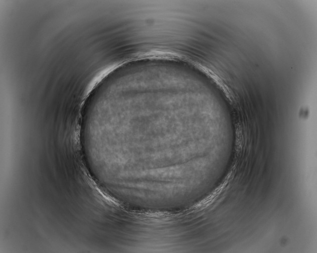 X0000098021066200804251132