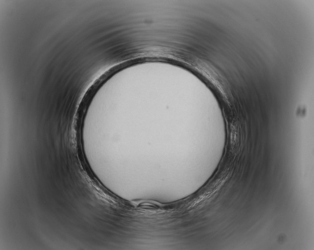 X0000098021068200804251132