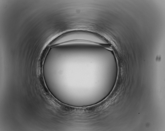 X0000098021069200804251132